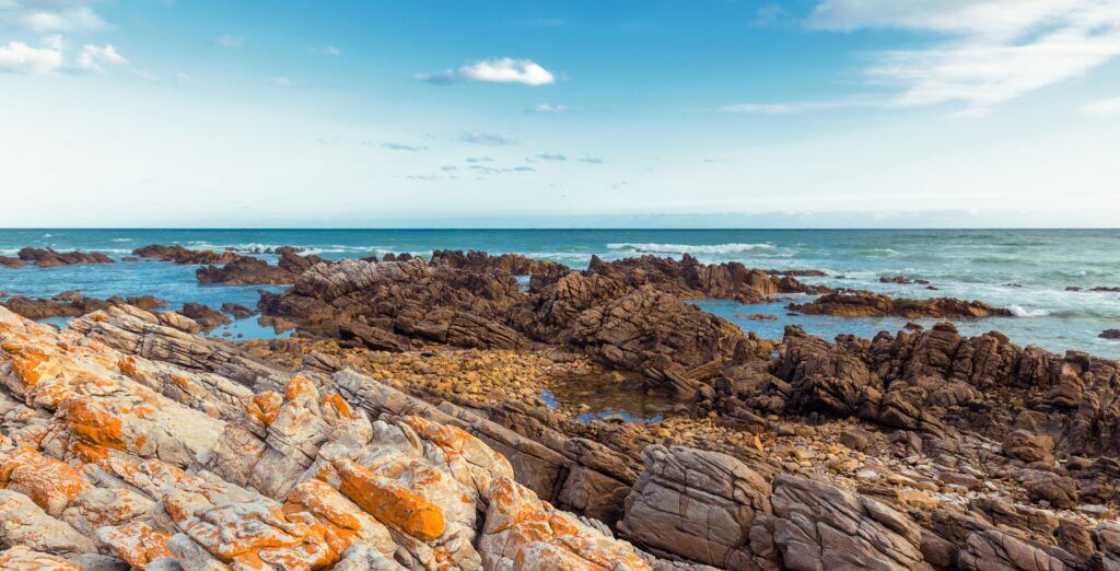 Rote Felsküste an blauem Meer des Agulhas Nationalparks