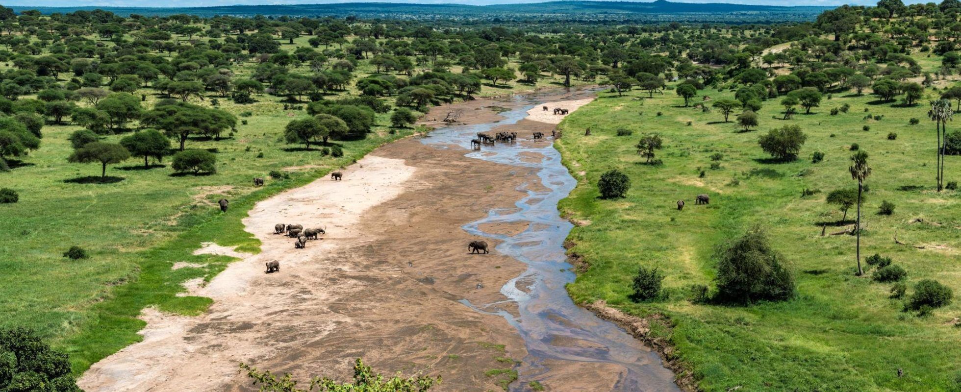 Ausgetrockneter Fluss mit grünen Wiesen und Bäumen links und rechts