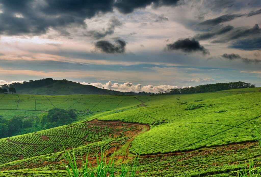 Top 9 Sehenswürdigkeiten in Uganda