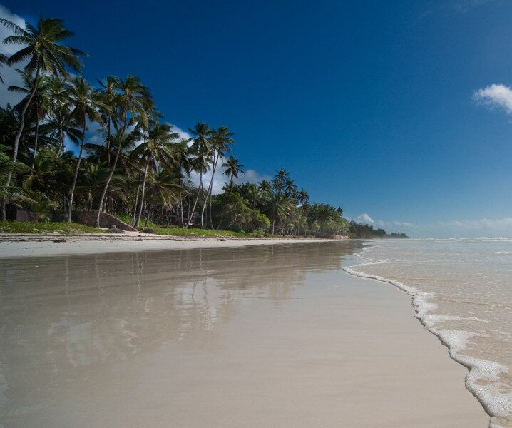 Weißer Strand von Diani Beach mit Palmen und Meer