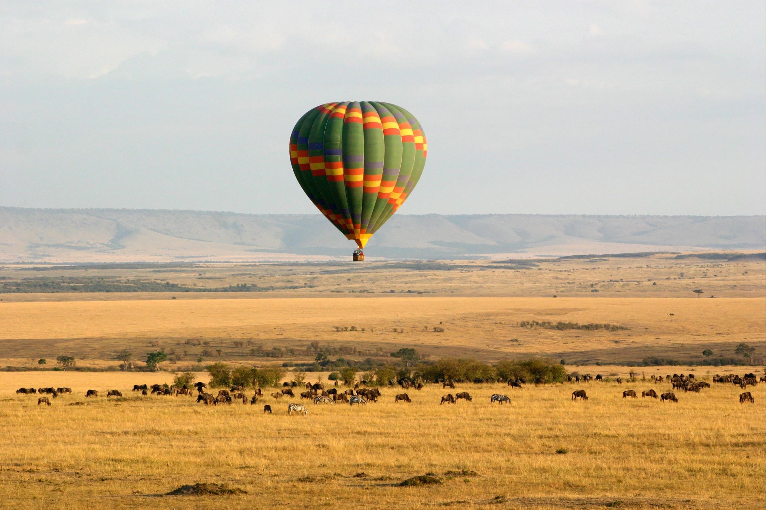 Heißluftballon über der Masai Mara mit Zebras und Gnus in der Savanne