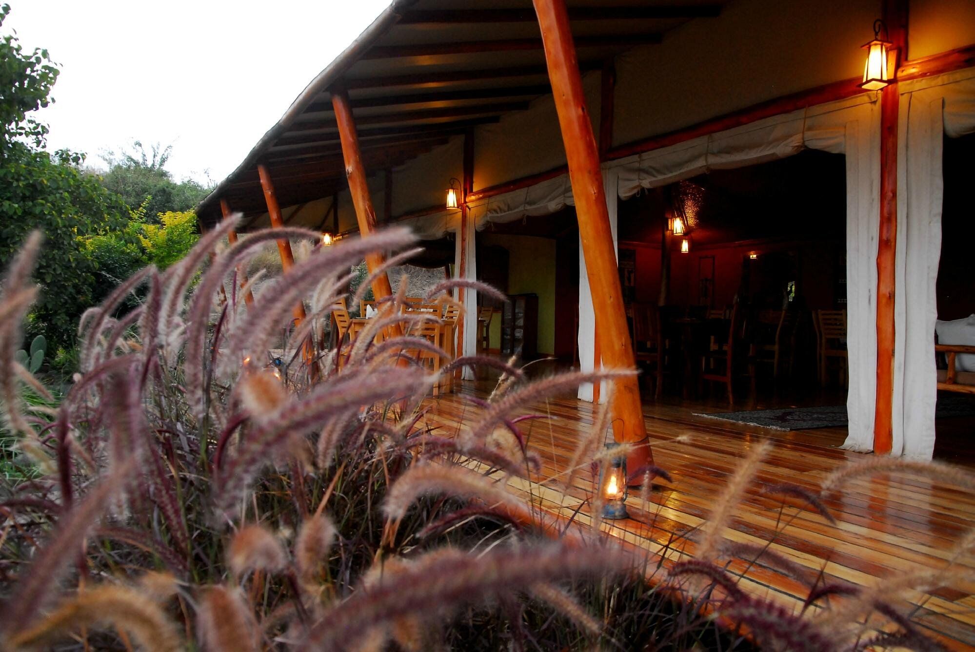 Marafiki Safari Lodge