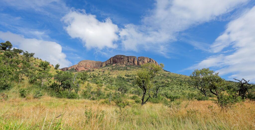 Helle und grüne Büsche und Bäume vor einem großen Berg