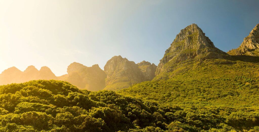 Hohe, dicht bewachsene Berge im Sonnenschein