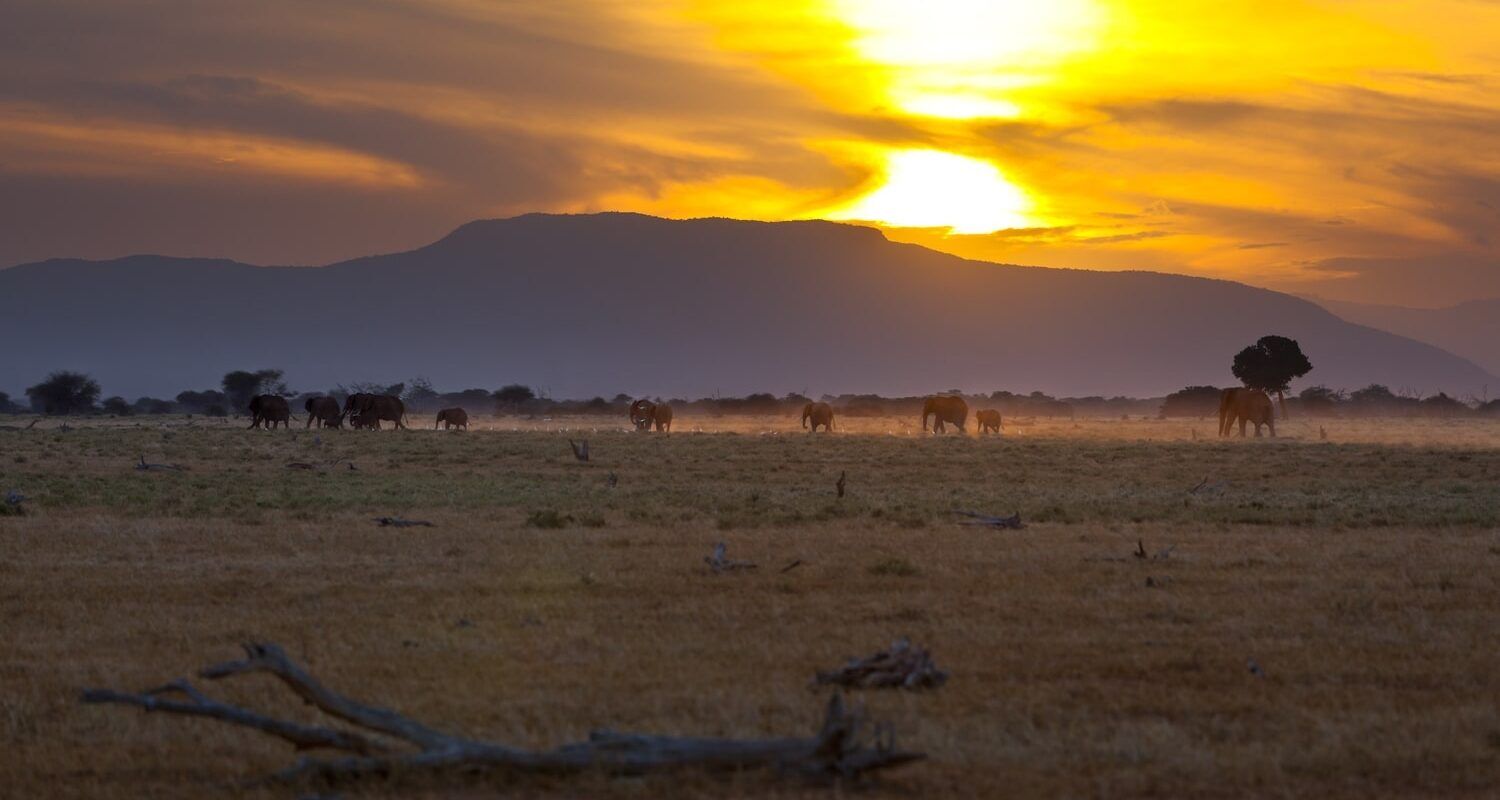 Tsavo East Nationalpark