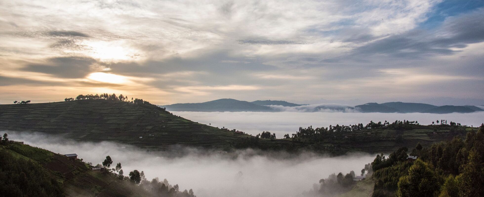 Dichter Nebel in den Bergen des Bwindi Impenetrable Nationalparks