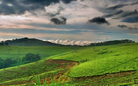 Top 9 Sehenswürdigkeiten in Uganda