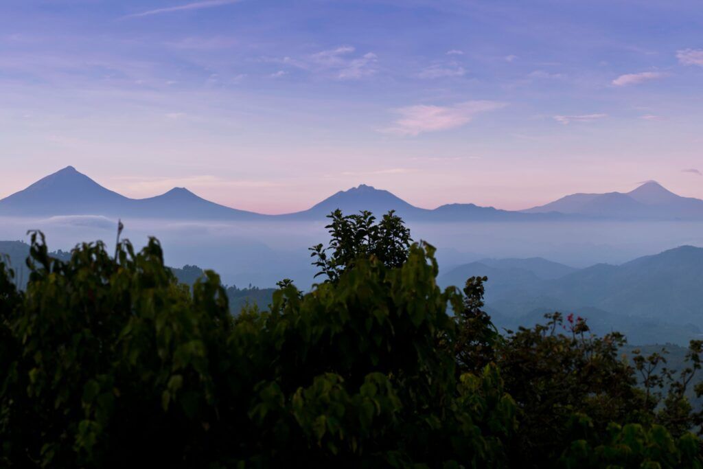 Die beeindruckenden Virunga-Vulkane