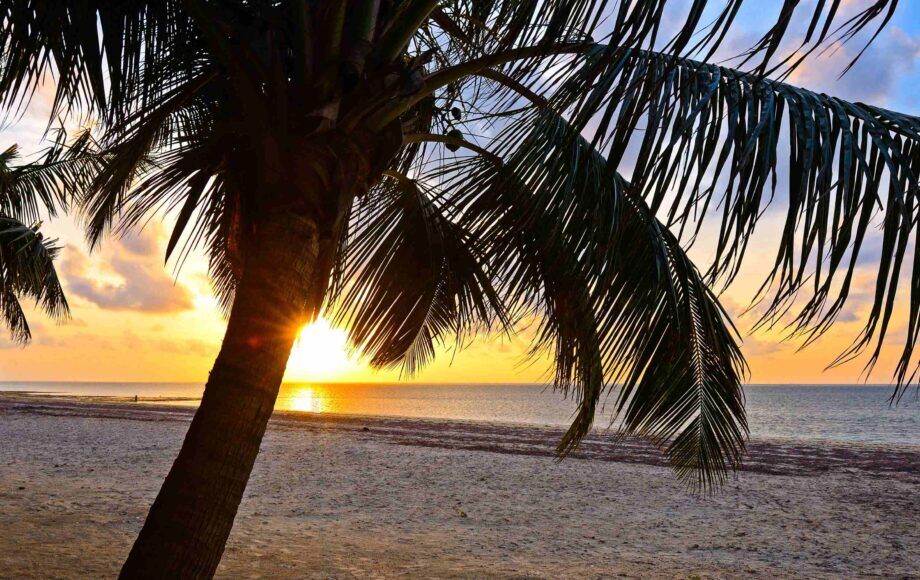 Sandstrand von Diani Beach mit Palme und Sonnenuntergang