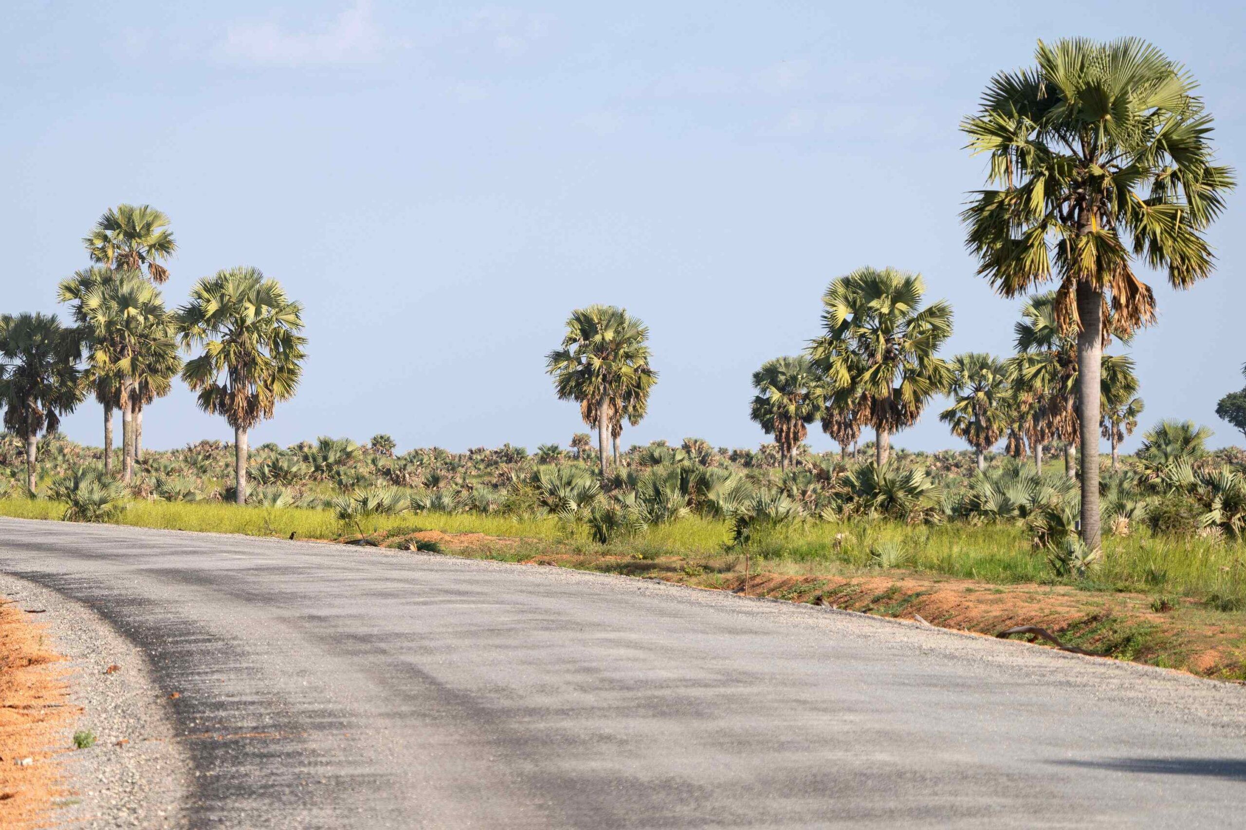 Fahrt von Jinja zum Murchison Falls Nationalpark