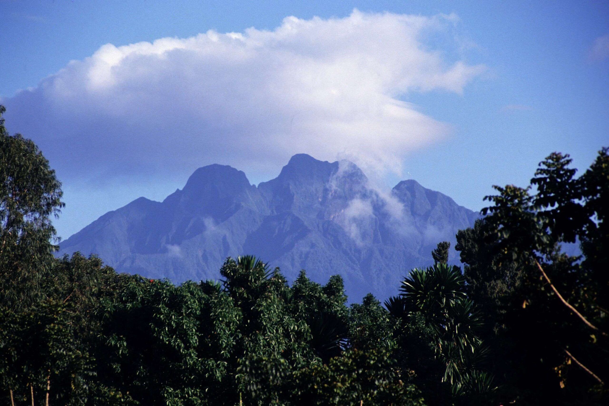 Wanderung auf den Vulkan Sabinyo im Mgahinga Nationalpark