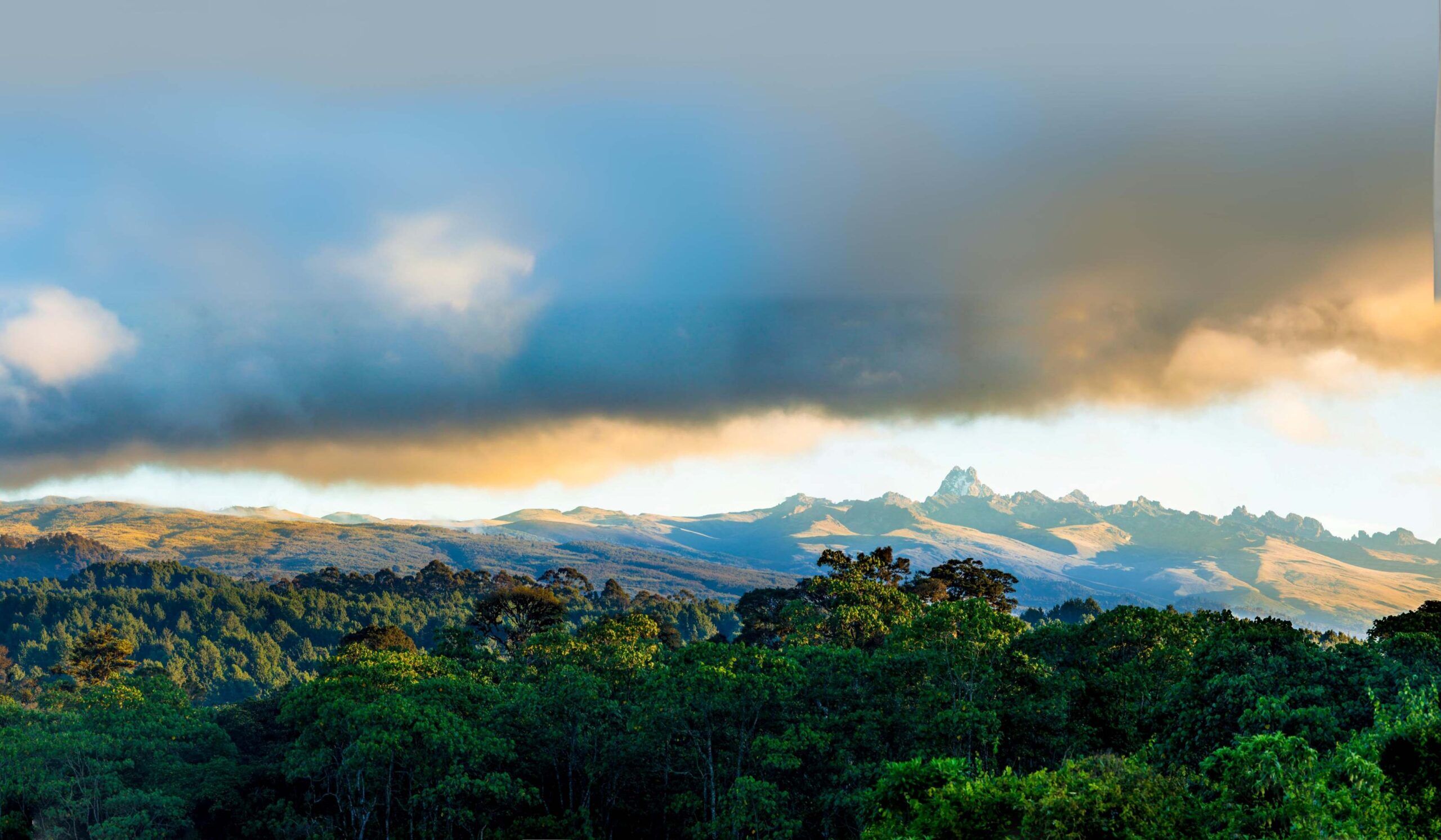 Sirimon Route 5 Tage, Tag 5: Old Moses (3.300m) - Sirimon Gate (2.640m) - Nanyuki