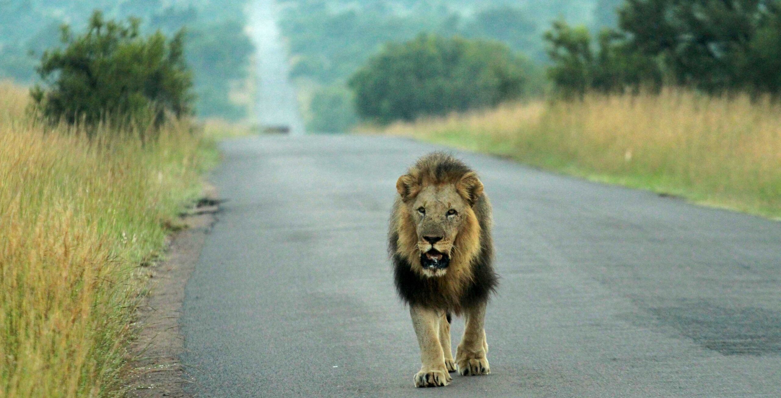 Fahrt von Tshwane (Pretoria) nach Pilanesberg