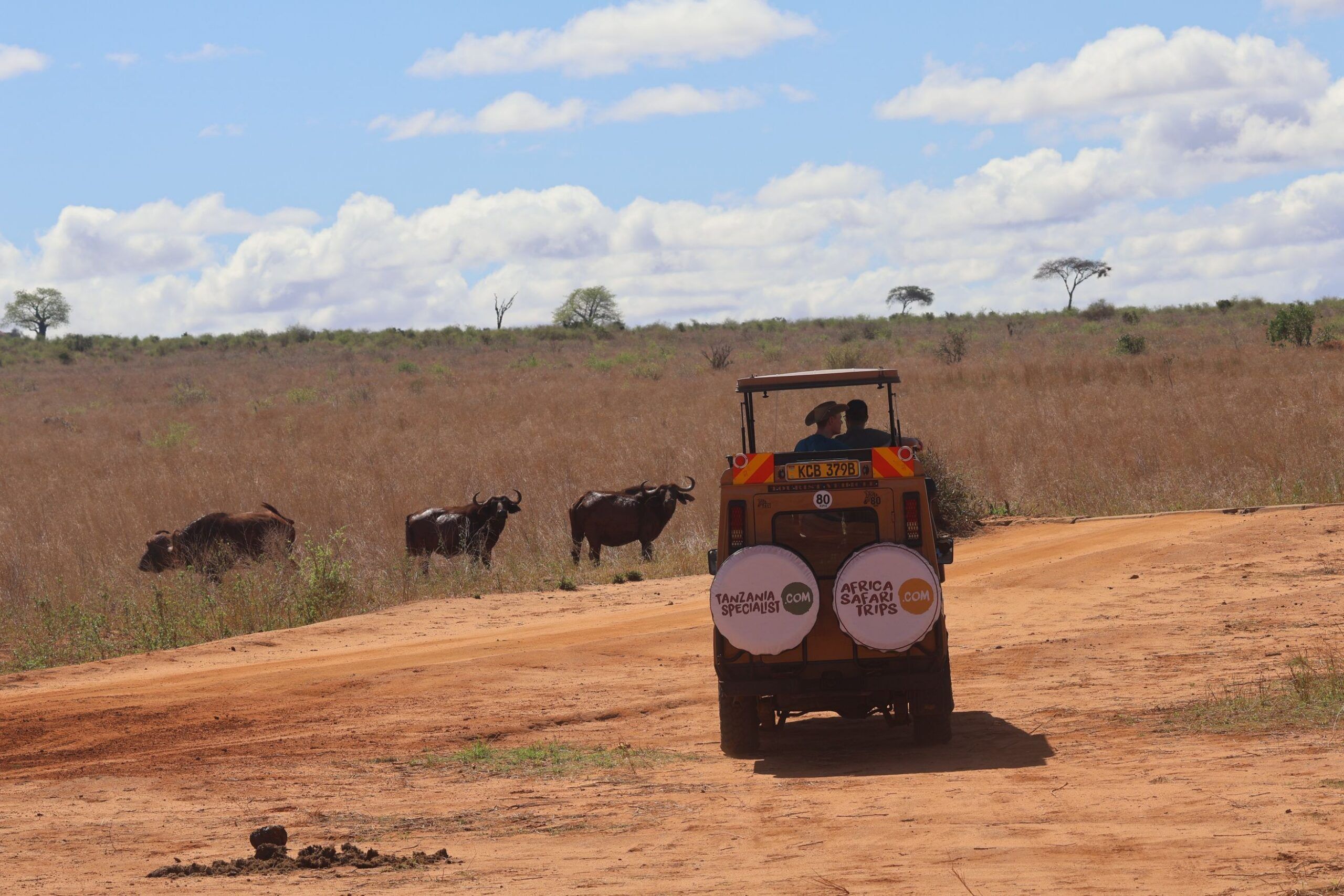 Fahrt vom Tsavo West Nationalpark zum Tsavo Ost Nationalpark