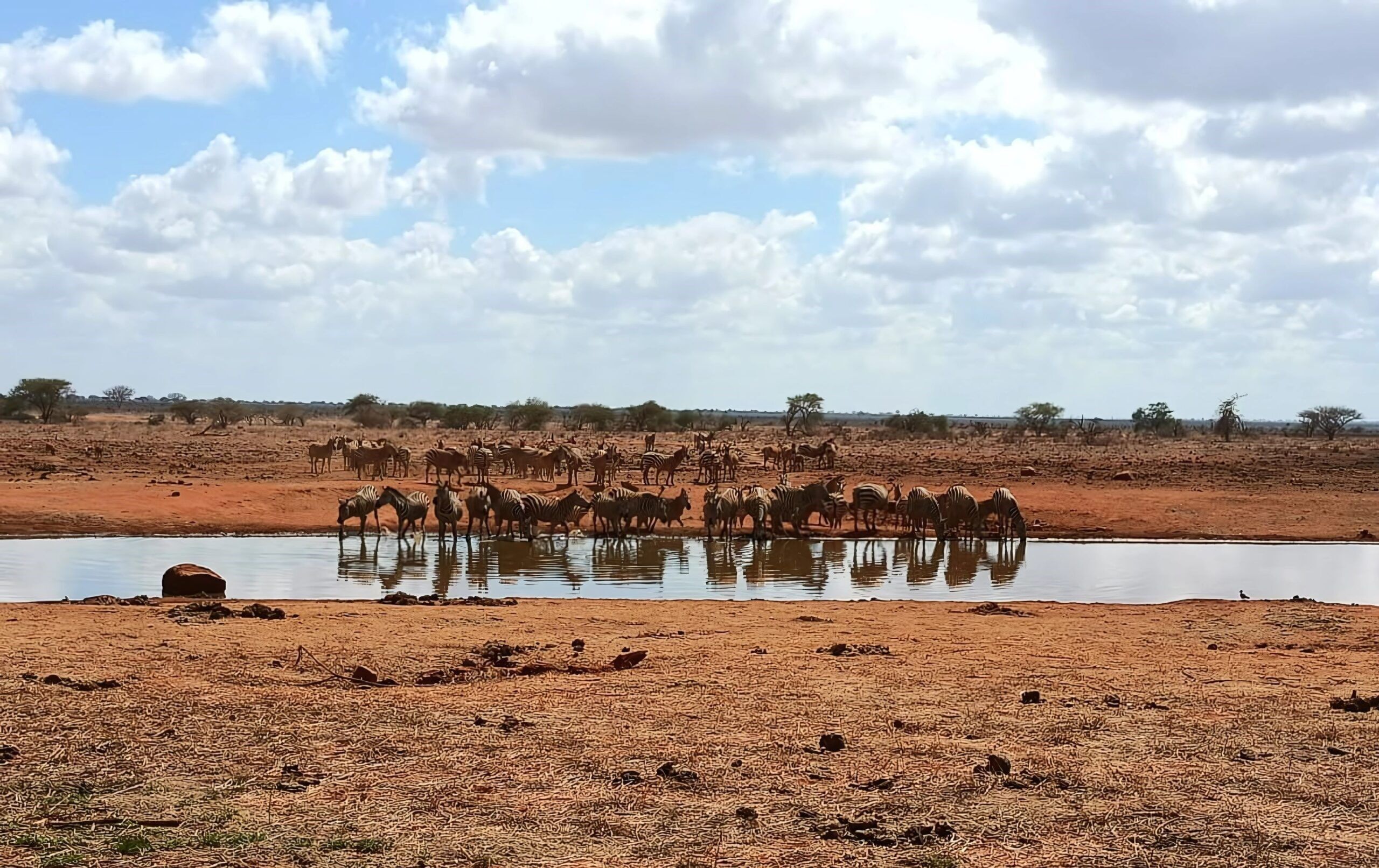 Pirschfahrt in der Ngutuni Wildlife Conservancy