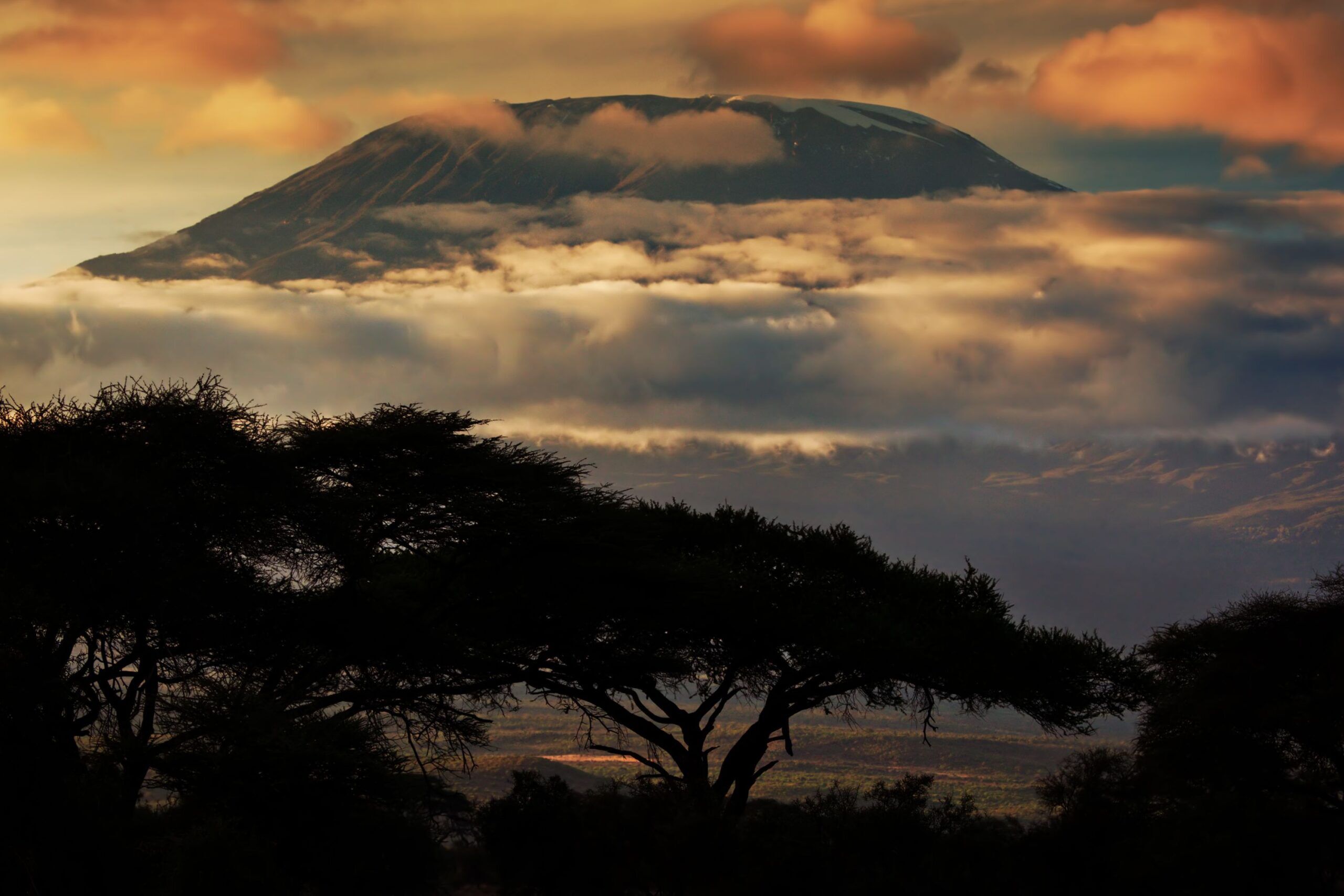 Kilimandscharo im Abendlicht mit Wolken und Bäumen davor, Amboseli Nationalpark