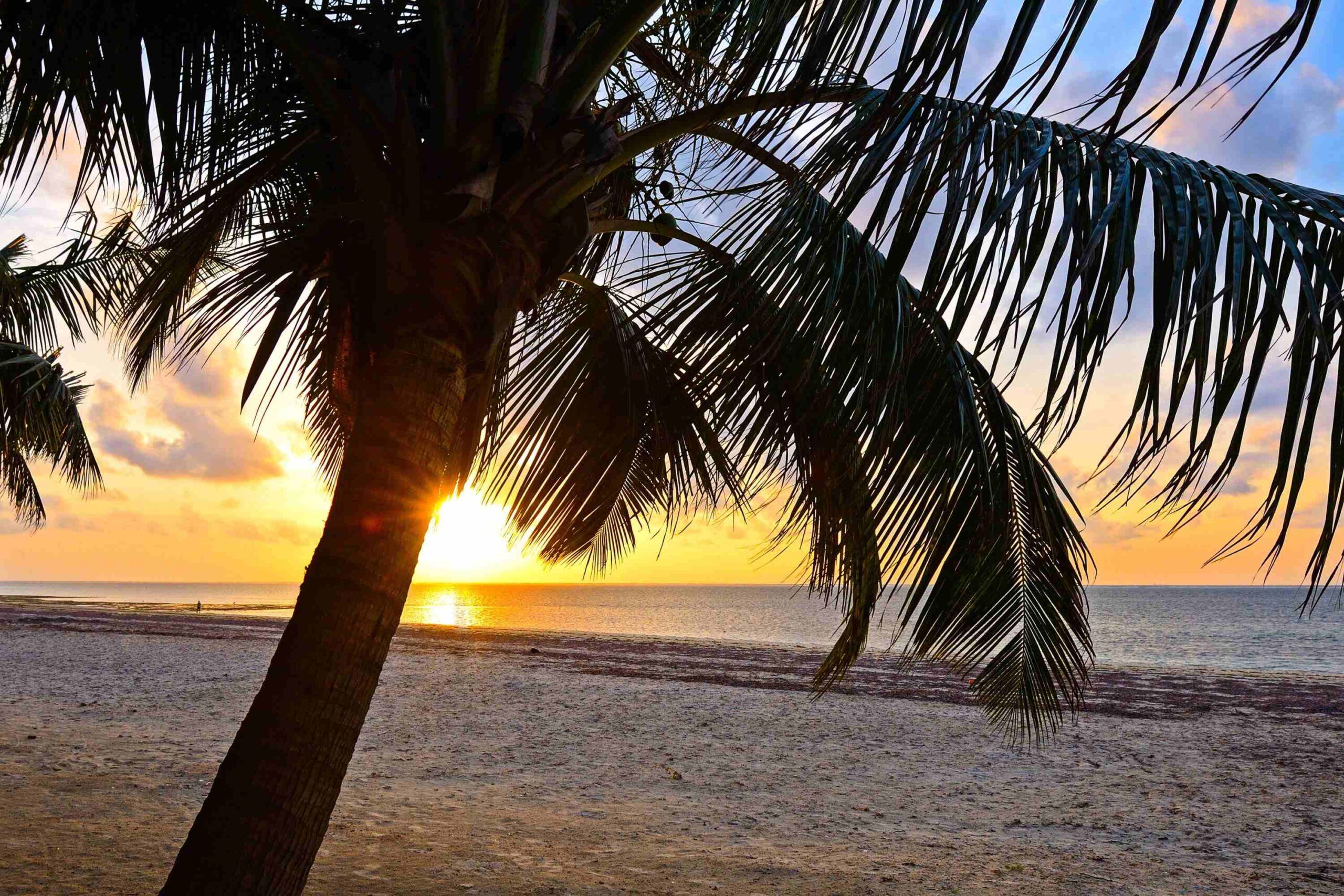 Sandstrand von Diani Beach mit Palme und Sonnenuntergang