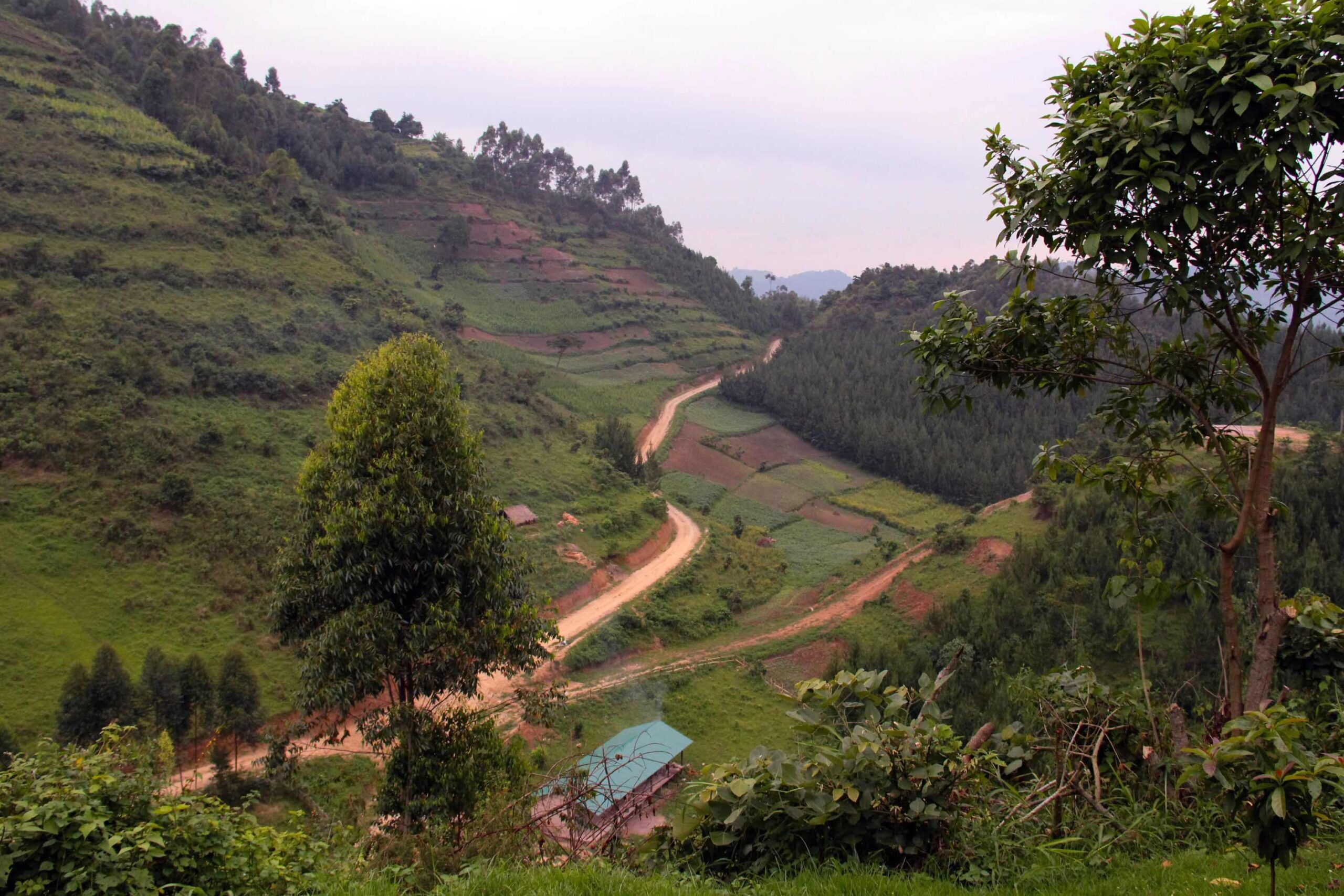 Fahrt von Entebbe / Kampala zum Bwindi Impenetrable Nationalpark