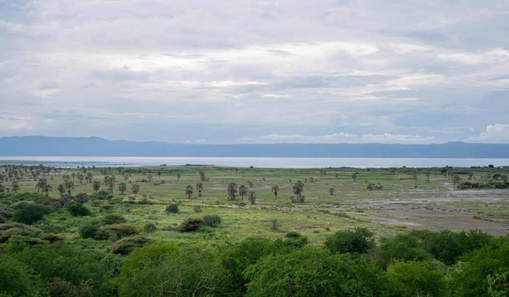 Savannenlandschaft in Kenia