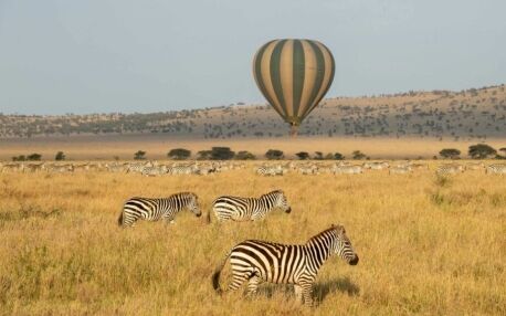 Heißluftballon fliegt über die Savanne und Zebraherden