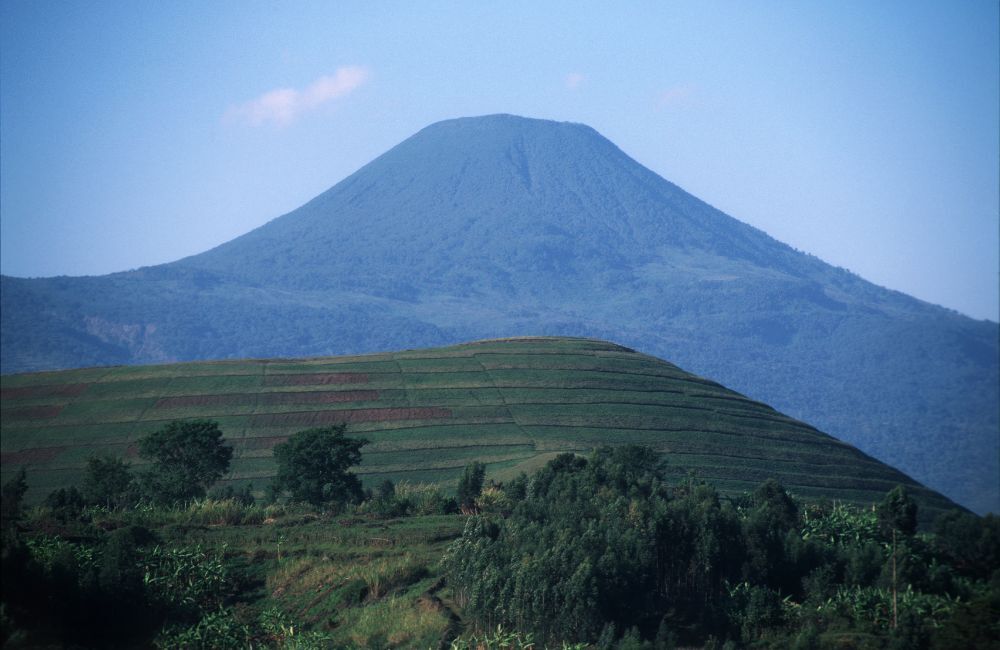 Mgahinga Gorilla Nationalpark in Uganda