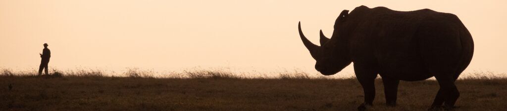 Nashorn im Ol‘ Pejeta Schutzgebiet