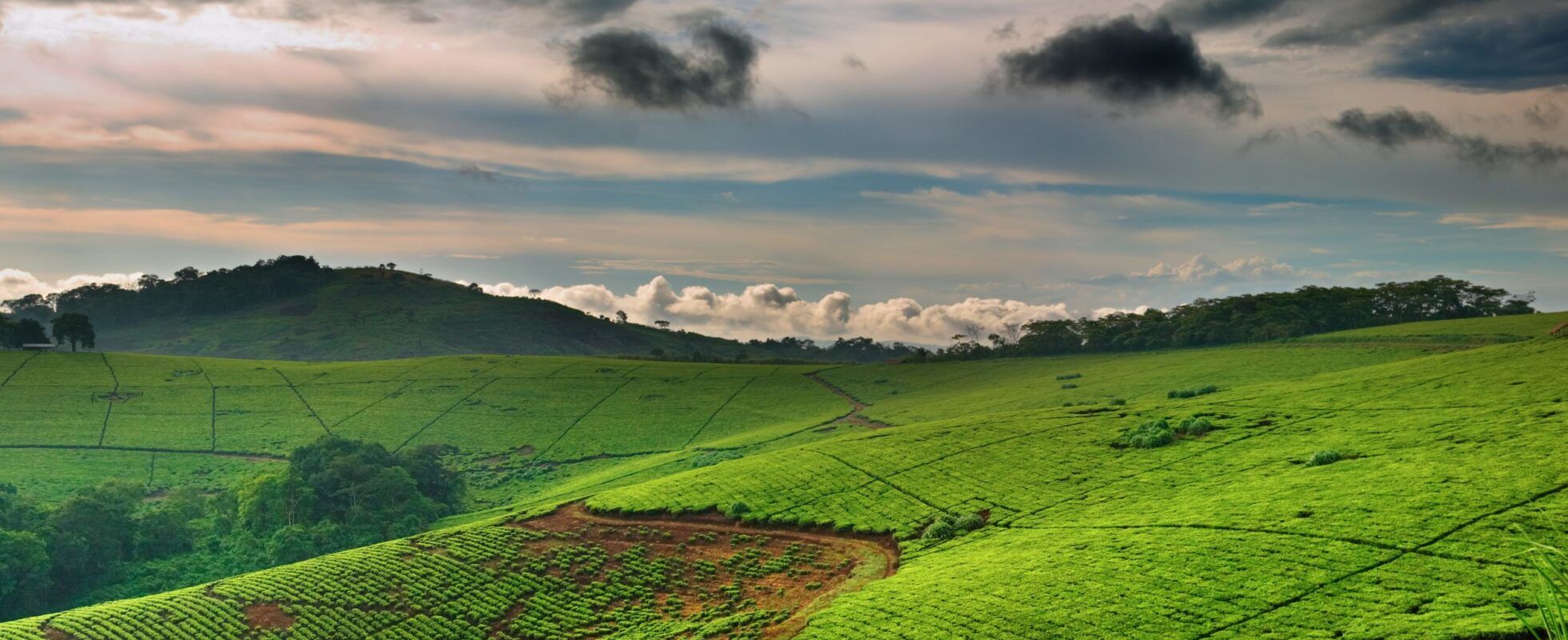 Top 9 Sehenswürdigkeiten in Uganda