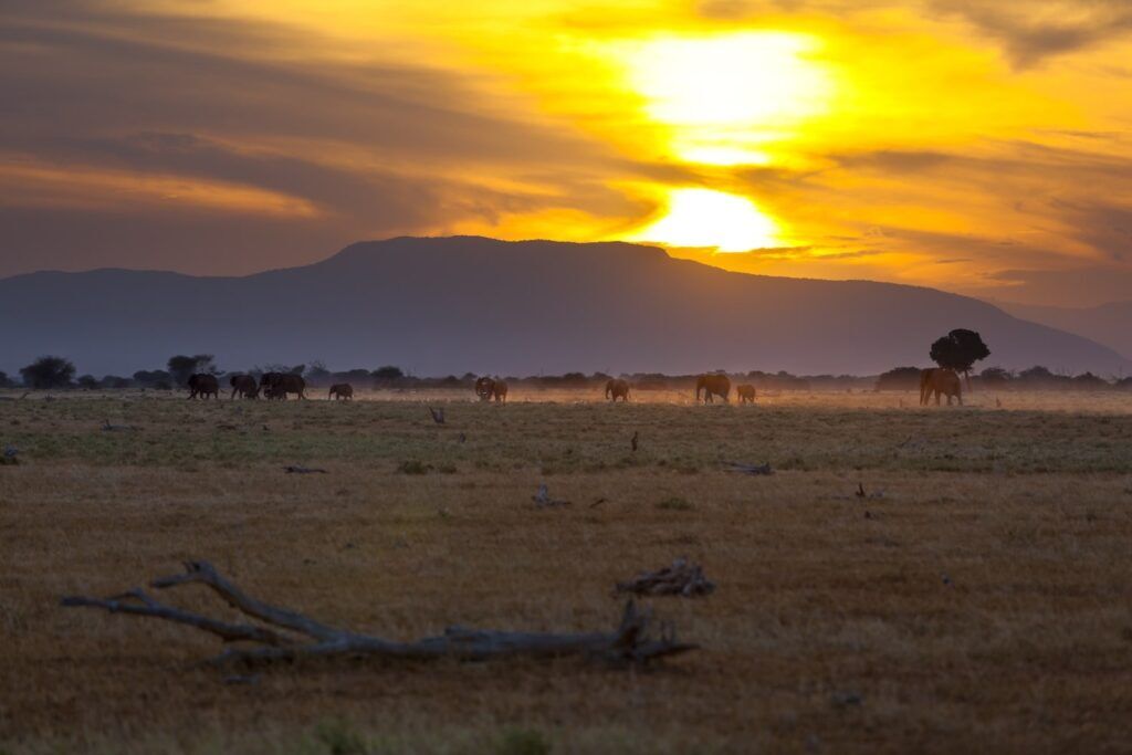 Tsavo East Nationalpark