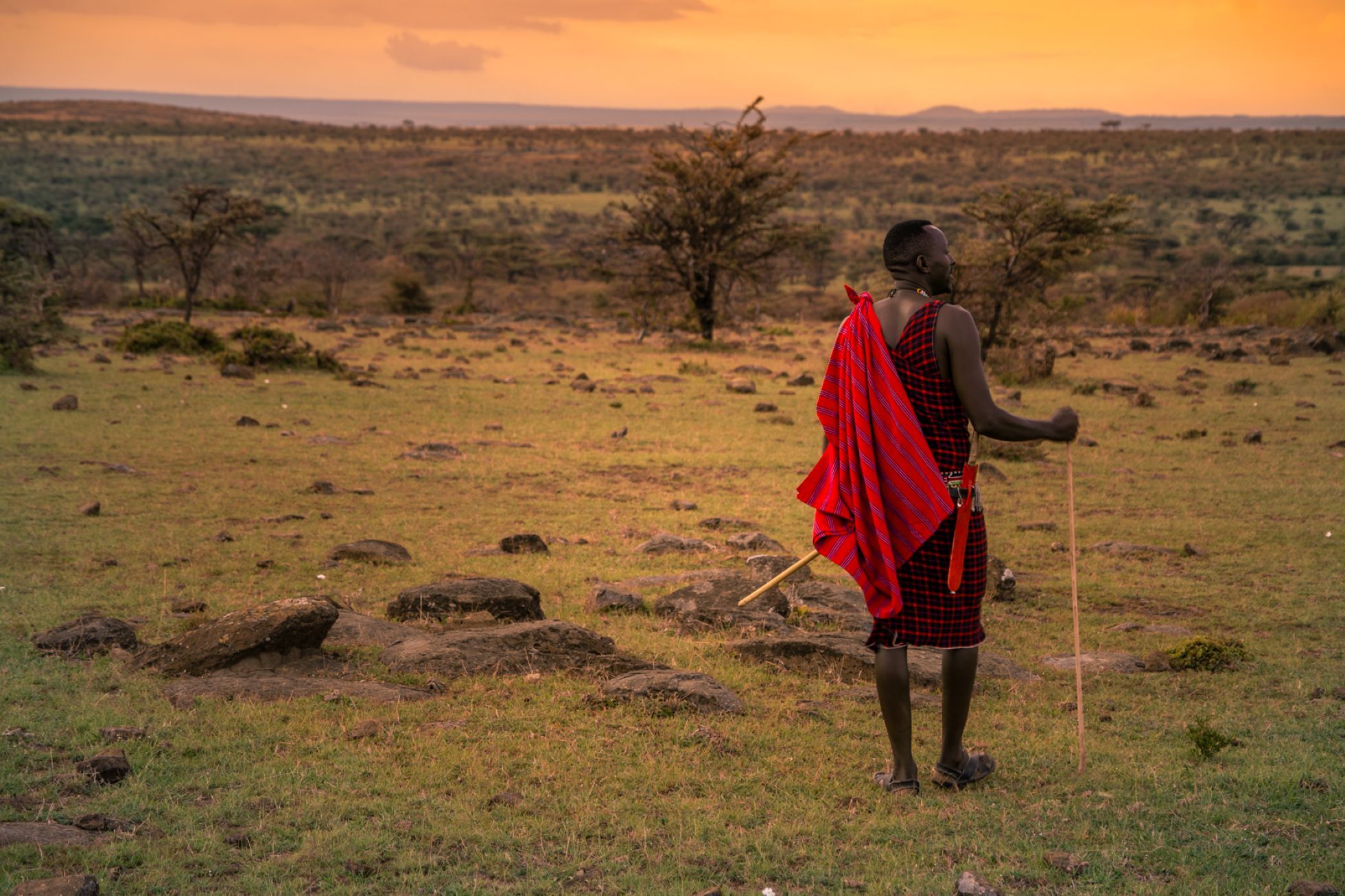 Wandersafari in Zebra Plains