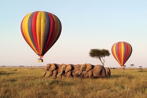 Zwei Heißluftballons schweben über Grasland mit einer Elefantenherde, Amboseli Nationalpark