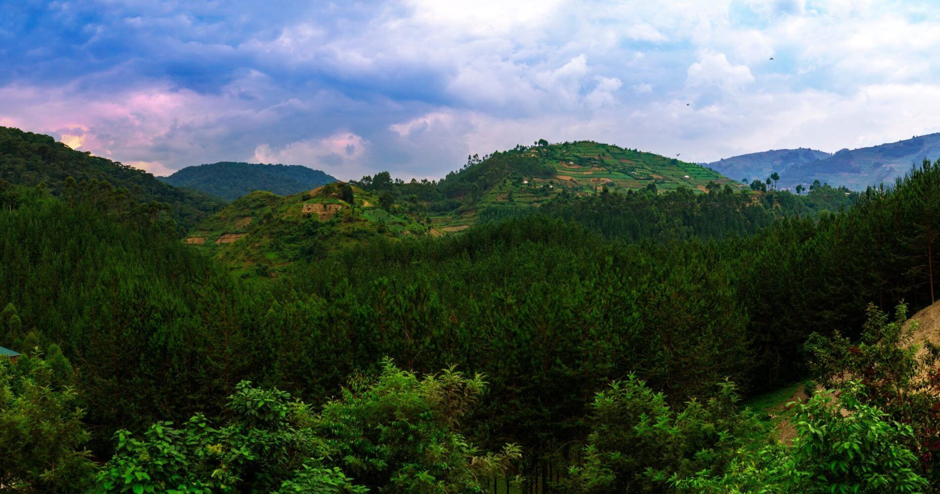 Landschaft des Bwindi Impenetrable Nationalparks