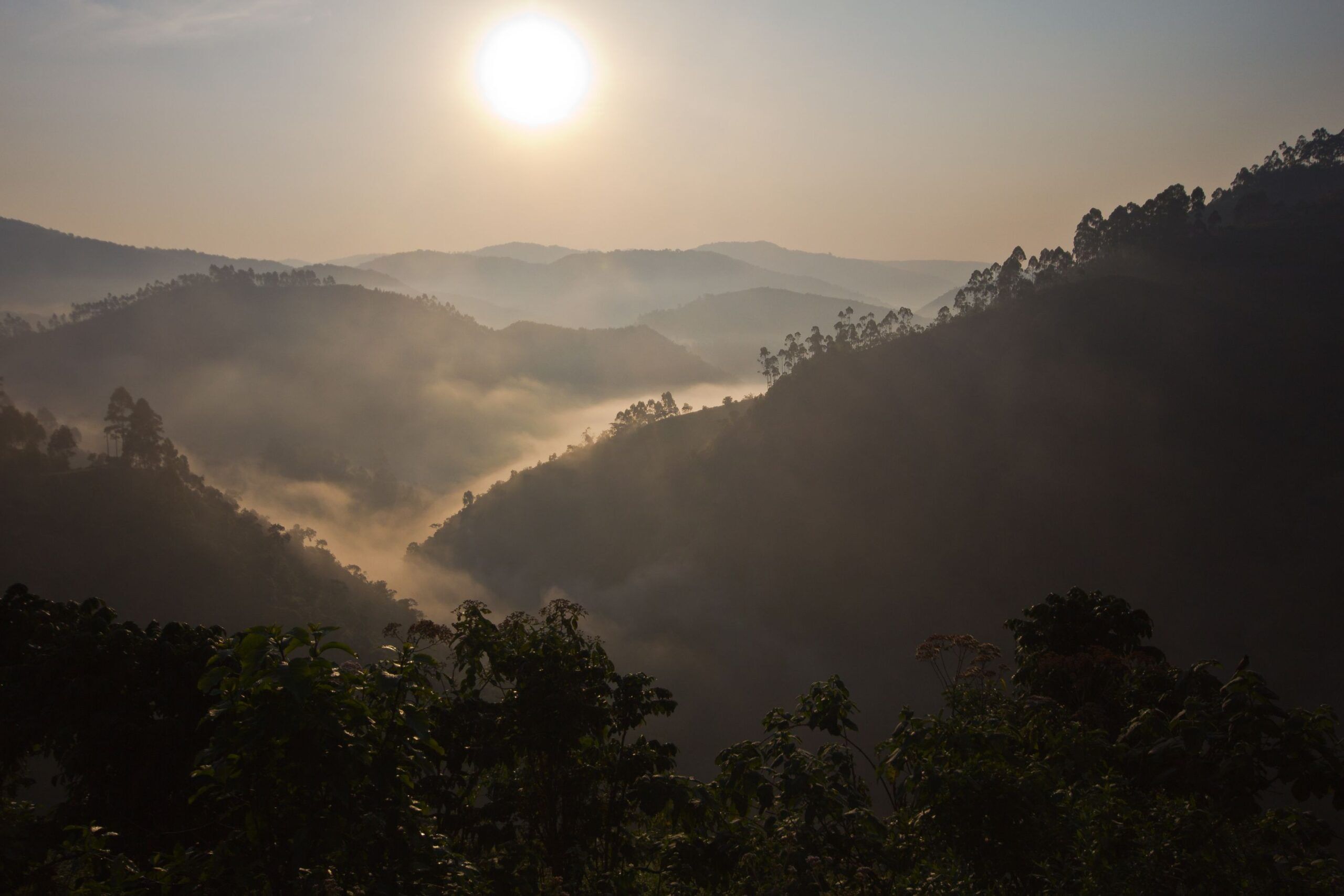 Sonne scheint über die nebligen Berge des Bwindi Impenetrable Nationalparks