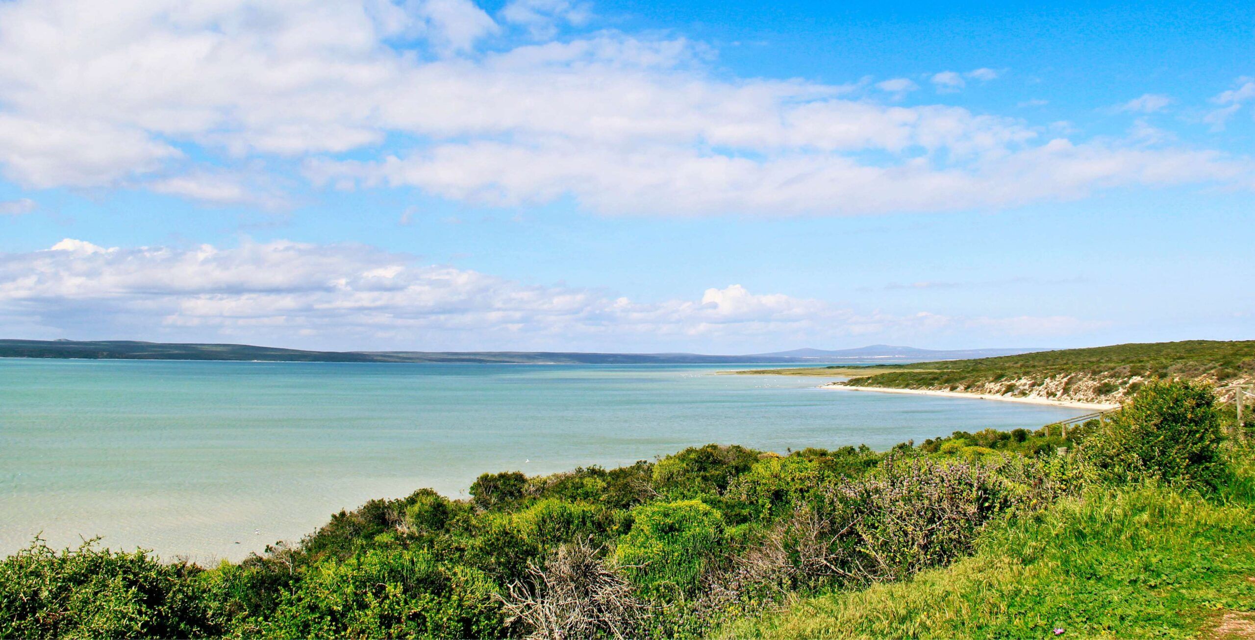 Langebaan-Lagune mit grünen Büschen im West Coast Nationalpark