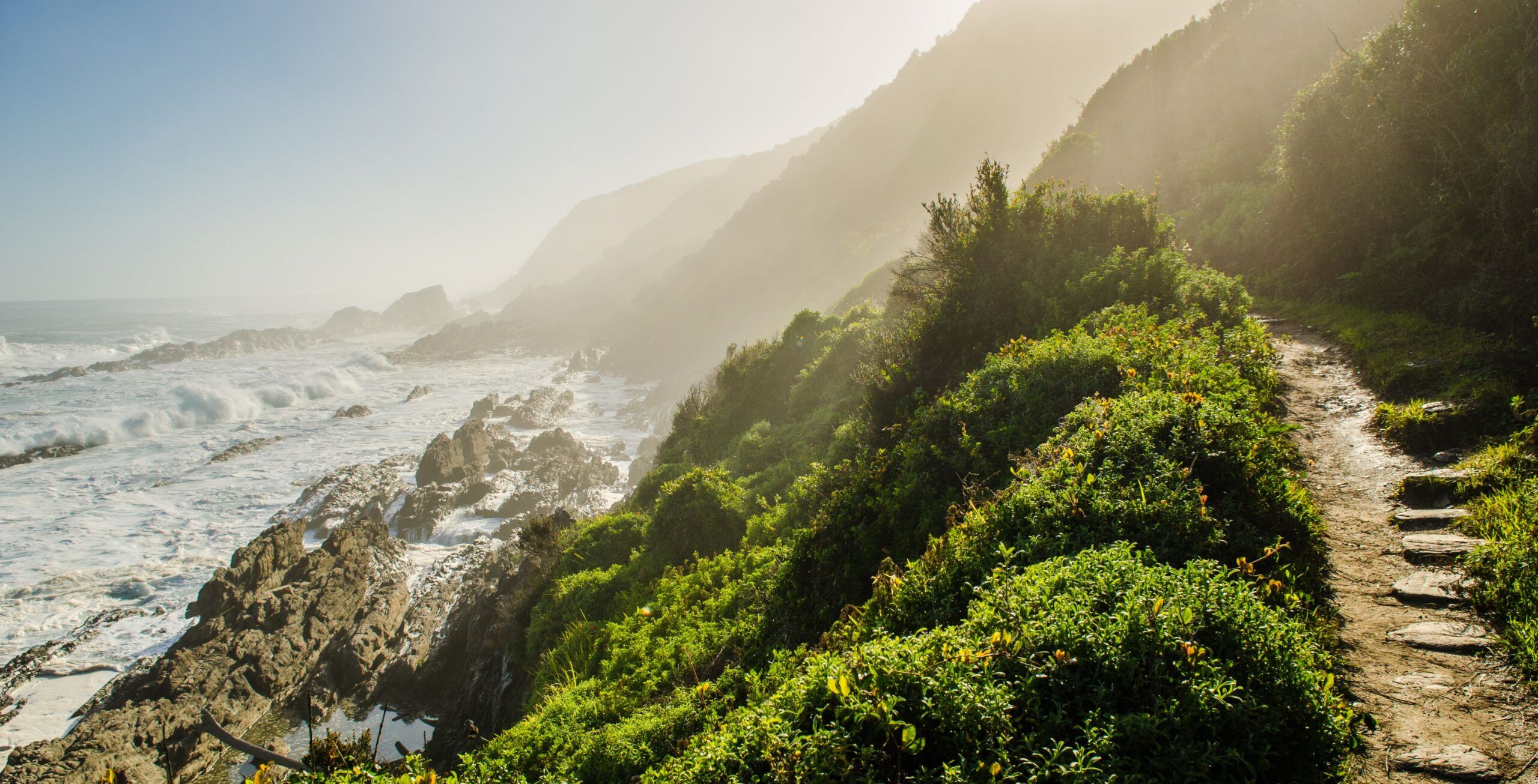 Grüne Küste entlang der Garden Route im Tsitsikamma Nationalpark