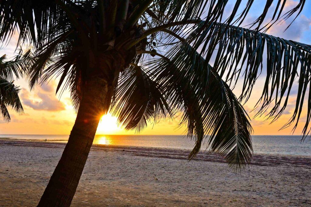 Sandstrand von Diani Beach mit Palme und Sonnenuntergang