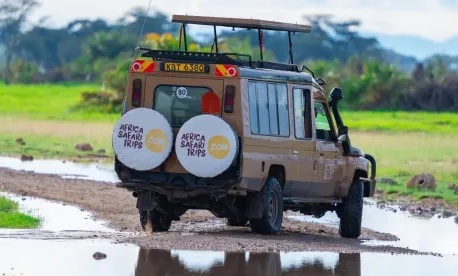 Eine Safari in Kenia und Uganda im Dezember oder Januar