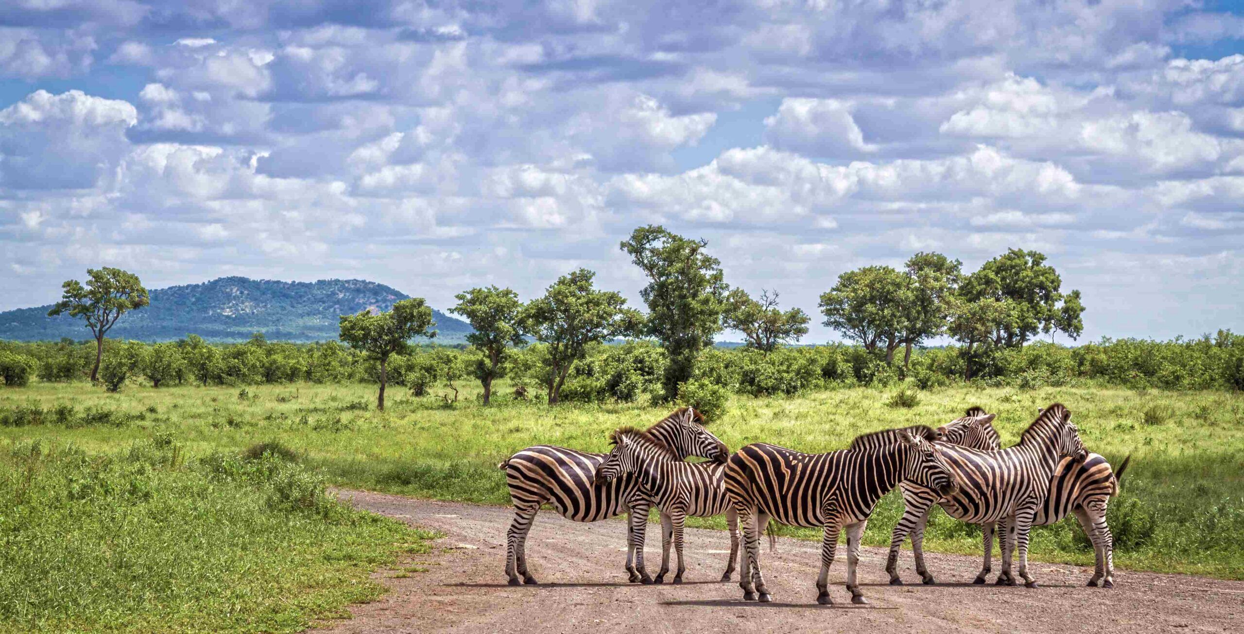 Kruger Nationalpark