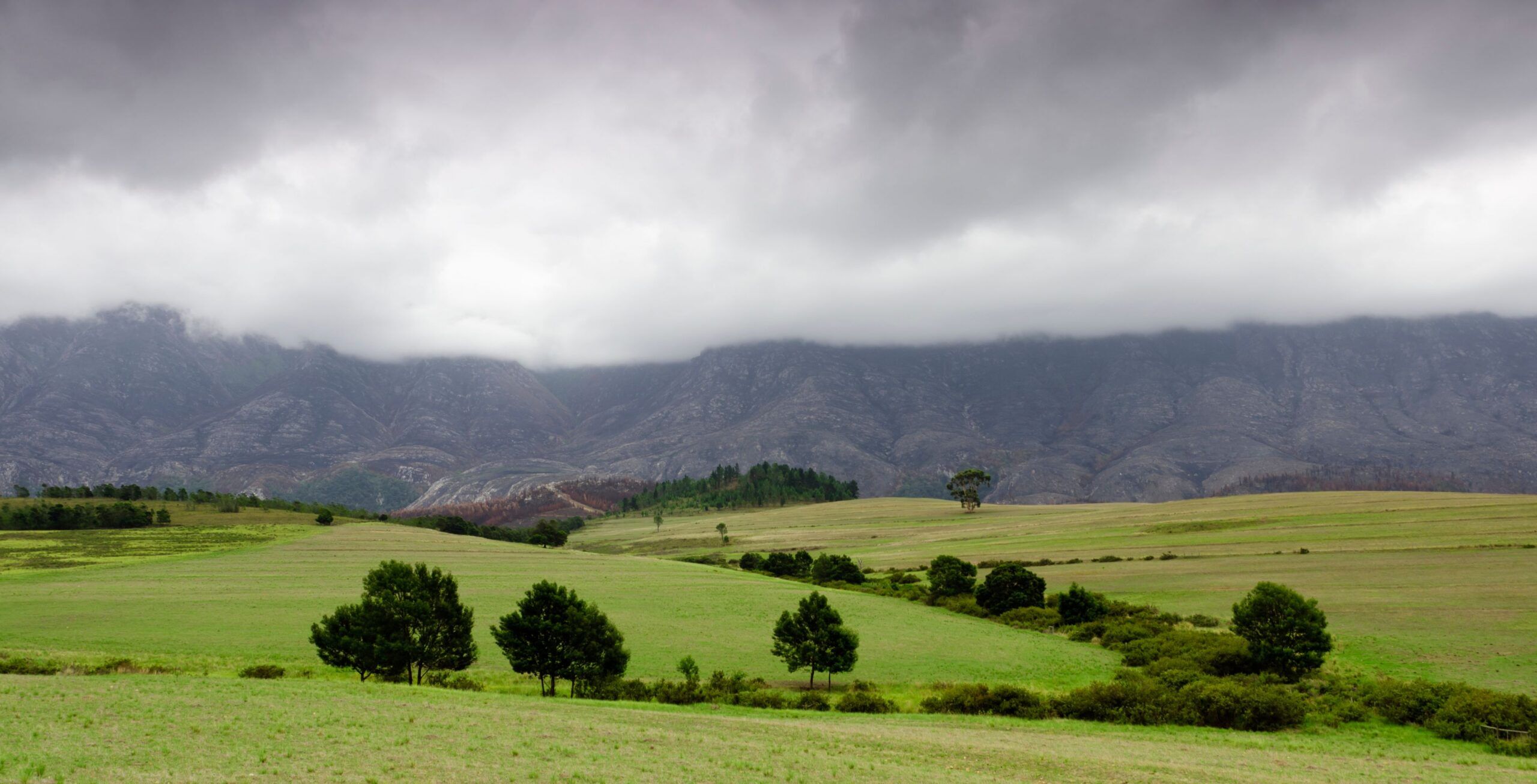 Fahrt von Kapstadt nach Swellendam