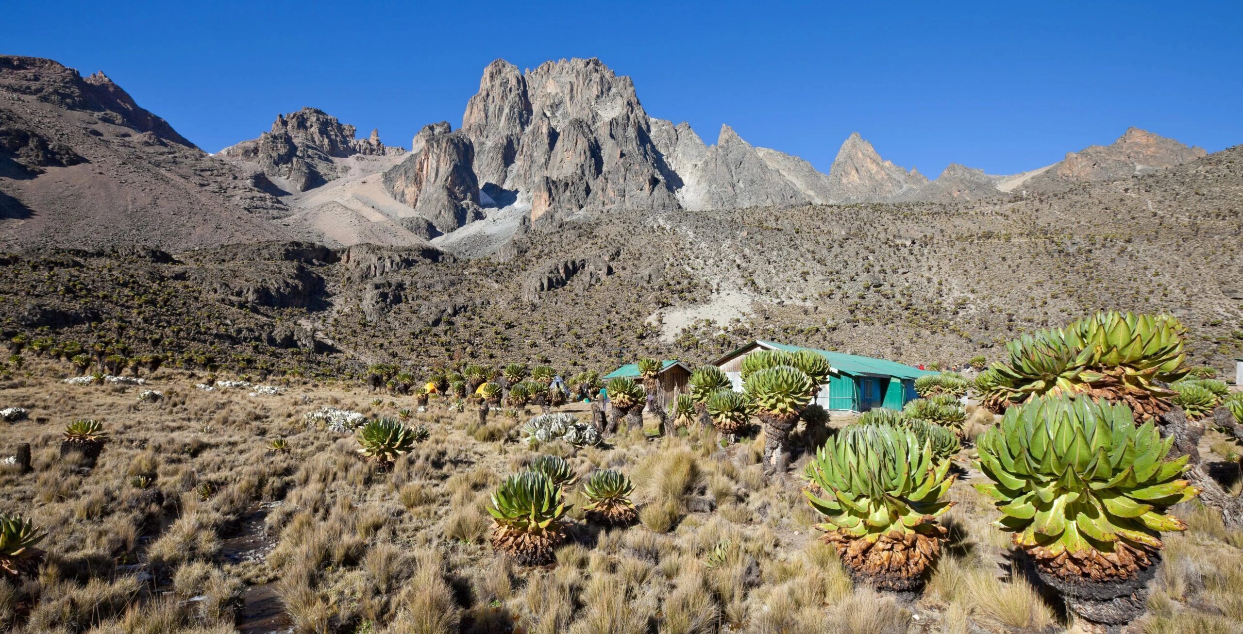 Sirimon Route 5 Tage, Tag 2: Old Moses Camp (3.300m) - Shiptons Camp (4.200m)