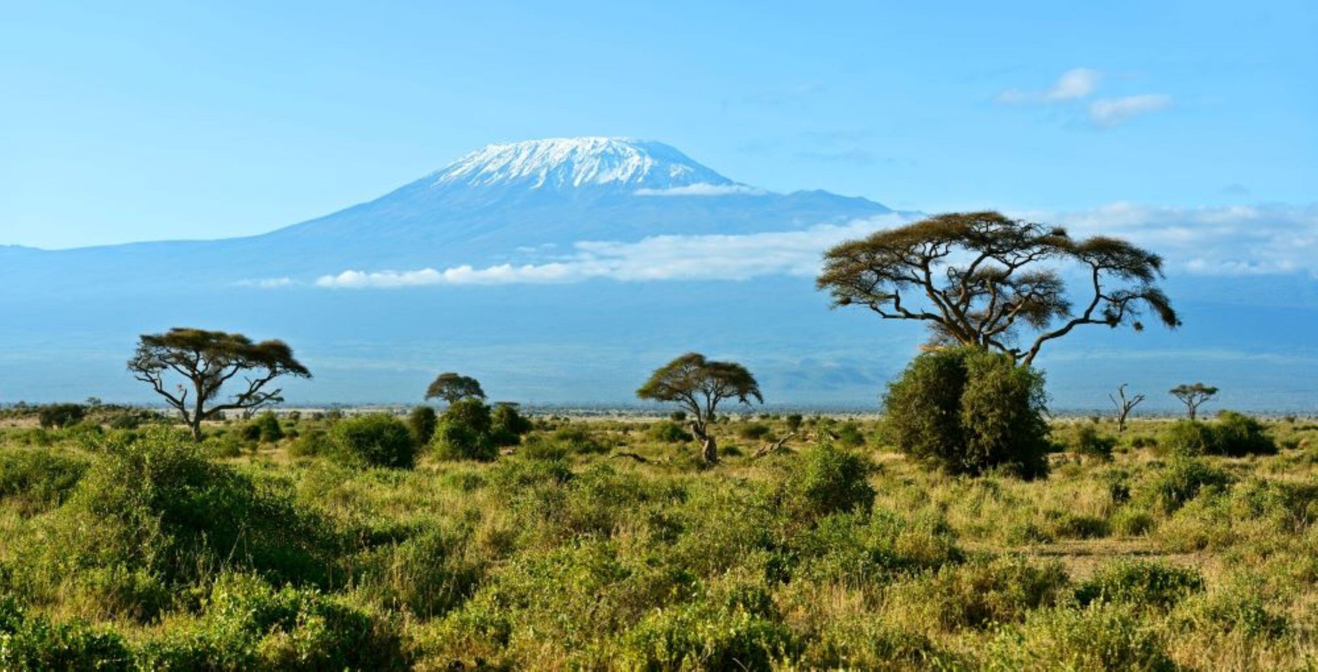 Fahrt Nairobi zum Amboseli Nationalpark