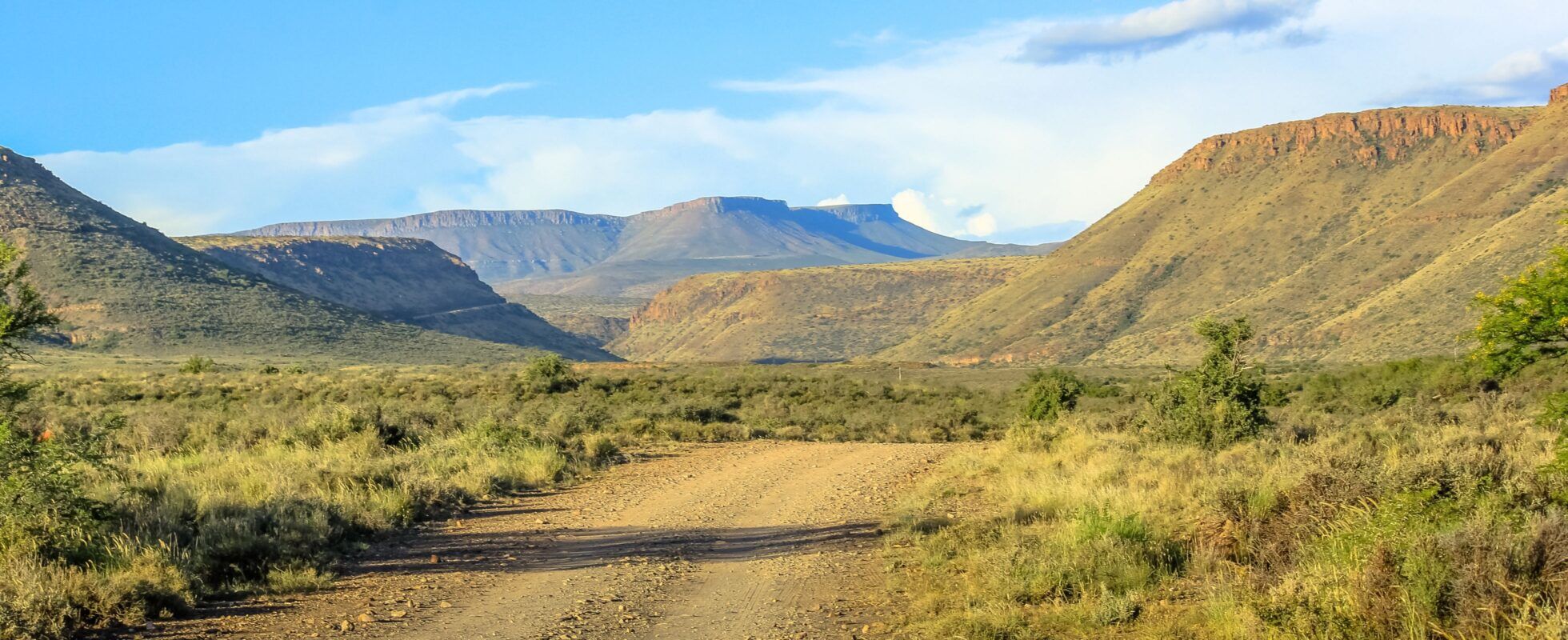 Grüne Hügel und eine Straße im Karoo Nationalpark in Südafrika