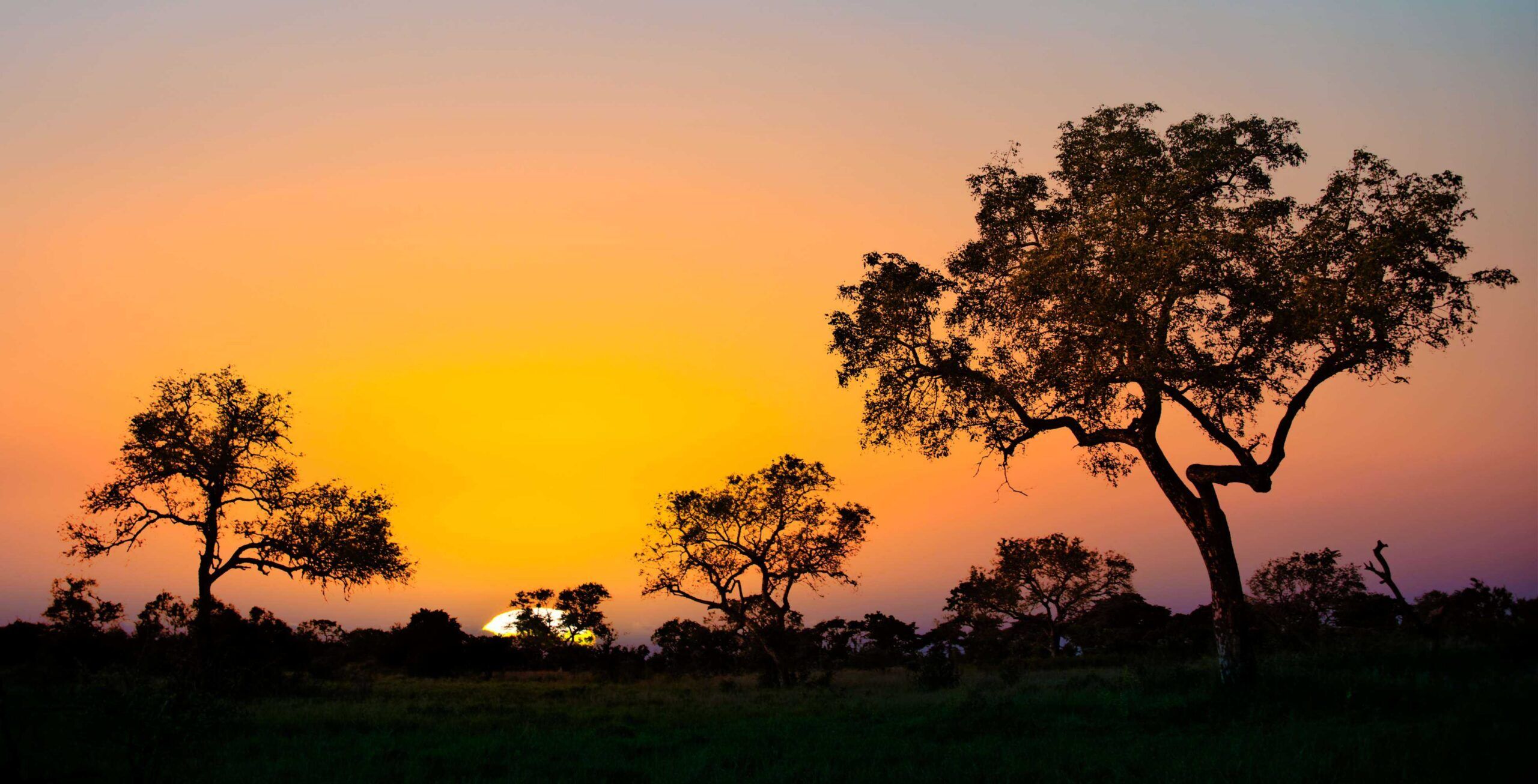 Fahrt von Hazyview in den Kruger Nationalpark – Paul Kruger Gate