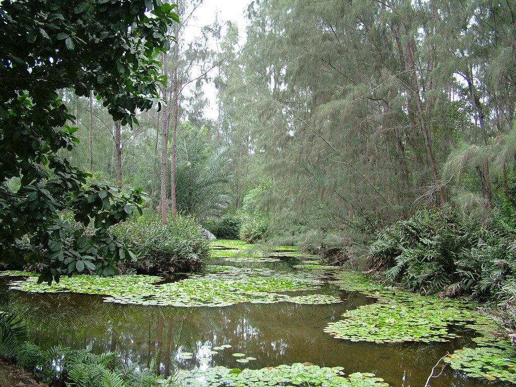 Bamburi Forest Trails