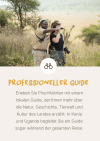 Expert guide