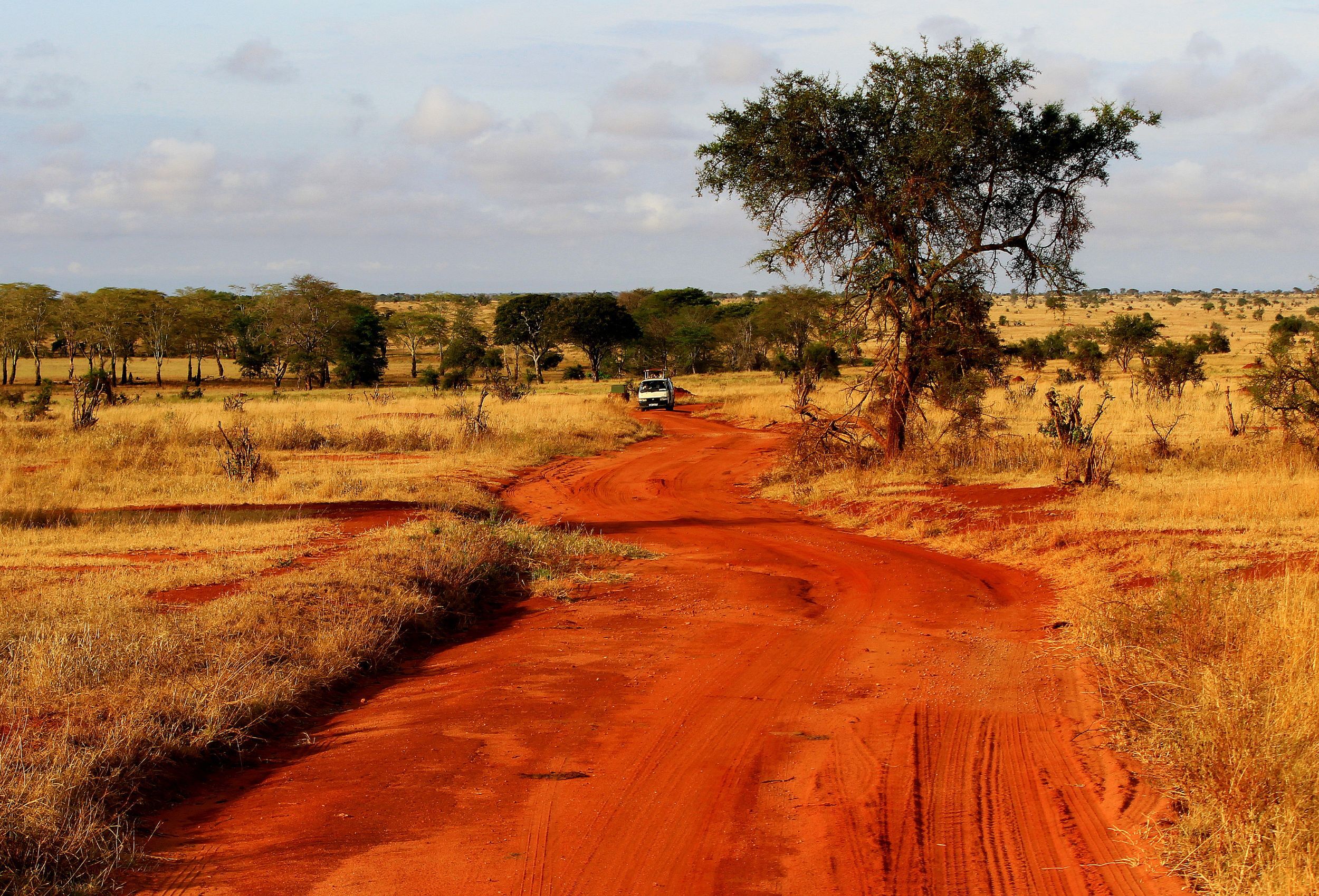 A Safari in Africa in July and August