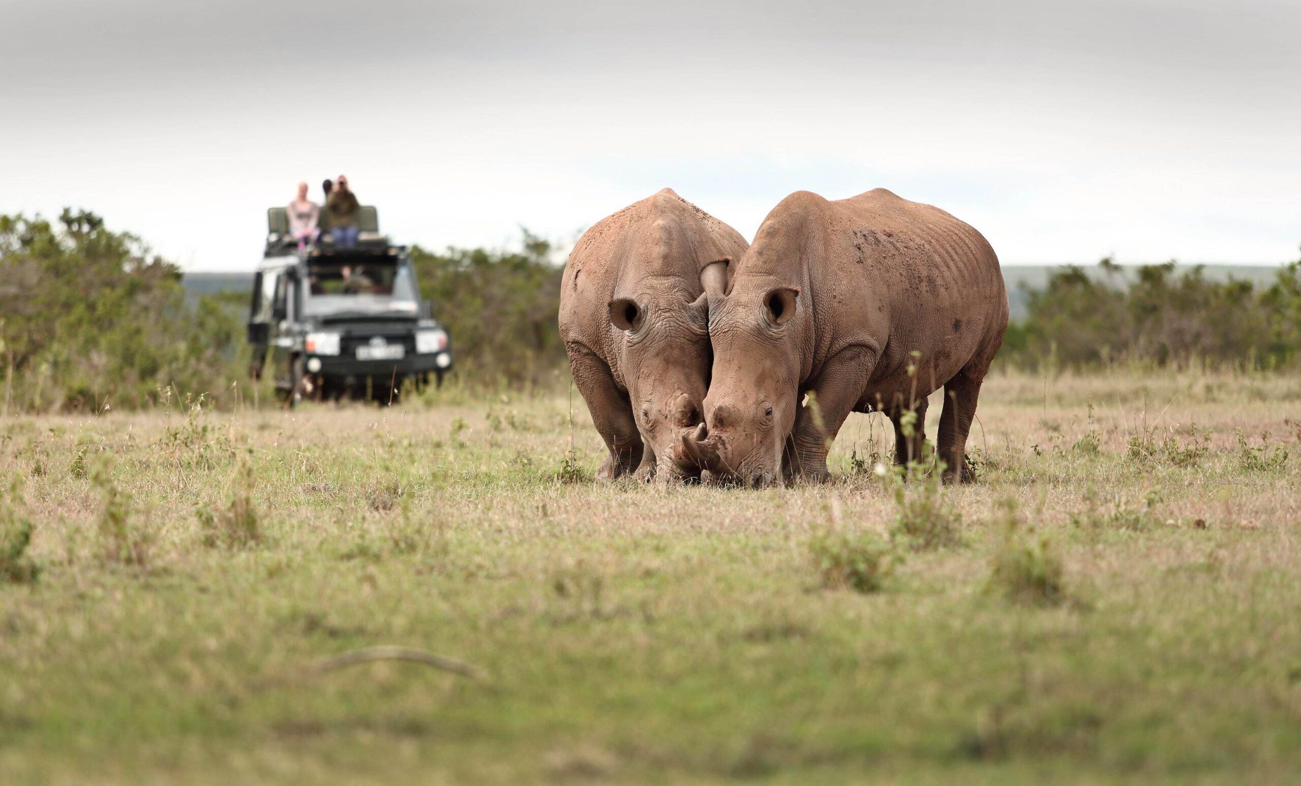 Die Solio Ranch Conservancy