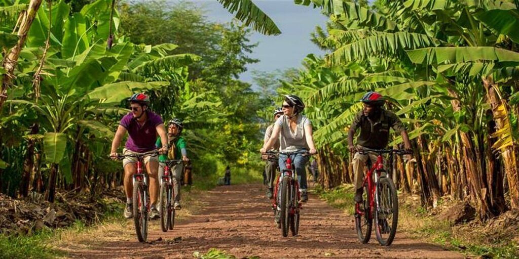 Fünf Personen fahren mit dem Fahrrad durch einen Wald