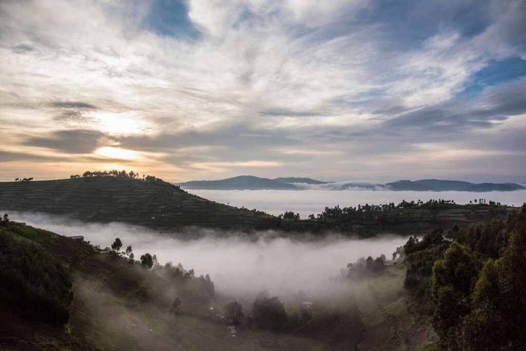 Dichter Nebel in den Bergen des Bwindi Impenetrable Nationalparks