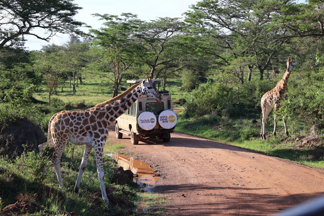Jeep-Safari im Lake Mburo Nationalpark