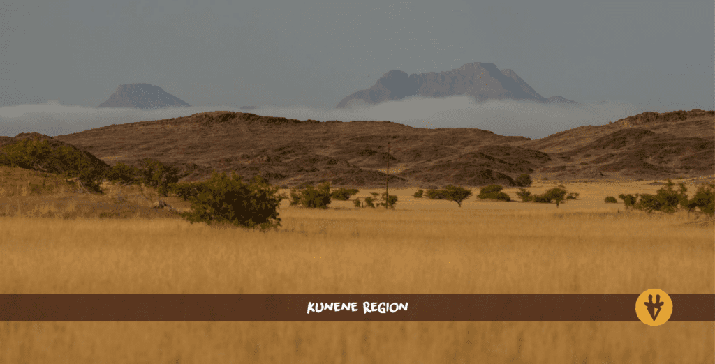 Kunene Region in Namibia mit hohem gelben Gras im Vordergrund und Bergen im Hintergrund